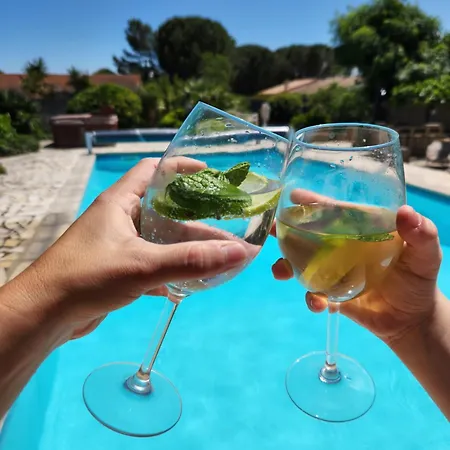 Lemasblanc, Detente Au Calme A 10min De Carcassonne, Terrasse, Jacuzzi Et Piscine Prive, Petit-dejeuner Frühstückspension